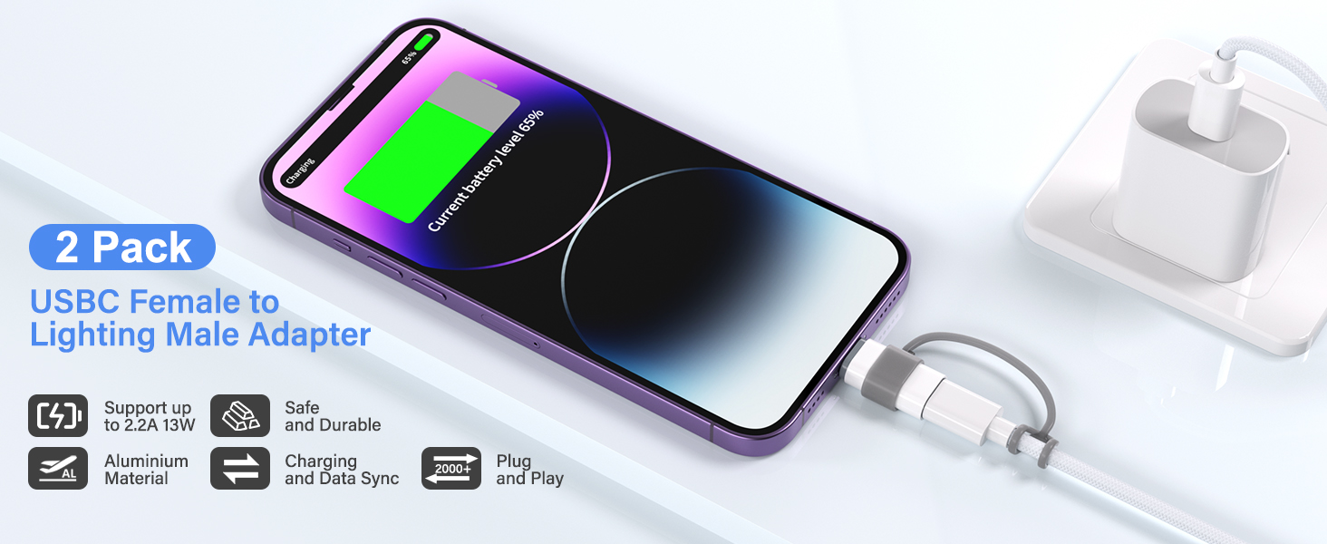 lightning to usb c adapte