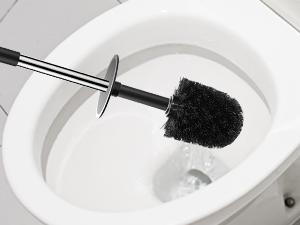 Toilet Brush