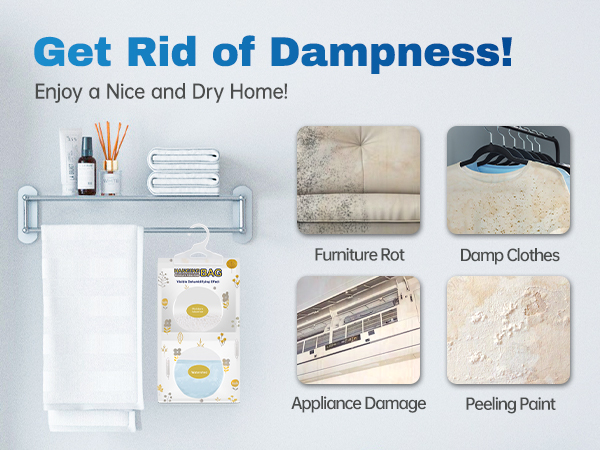 Get Rid of Dampness!