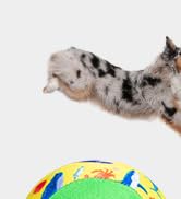 KOOLTAIL Floating Dog Pool Toys - Summer Dog Bouncing Water Toys for Swimming Pool, Interactive D...