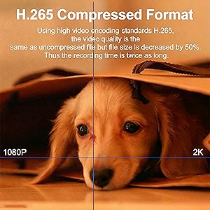 Real 2K HD &amp;amp;amp; Save More Videos