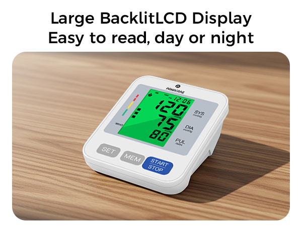Large Display