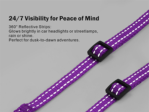 reflective dog collar