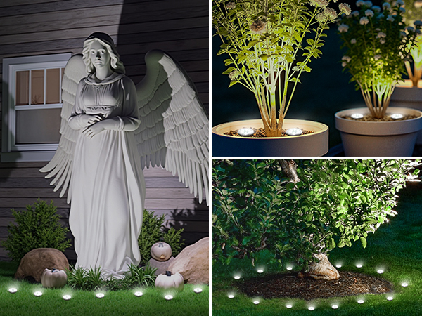 solar pathway lights outdoor