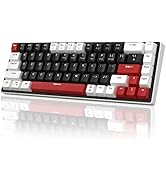 60% Mechanical Gaming Keyboard, 68 Keys Hot-Swappable Compact Blue LED Backlit Gaming Keyboard, M...