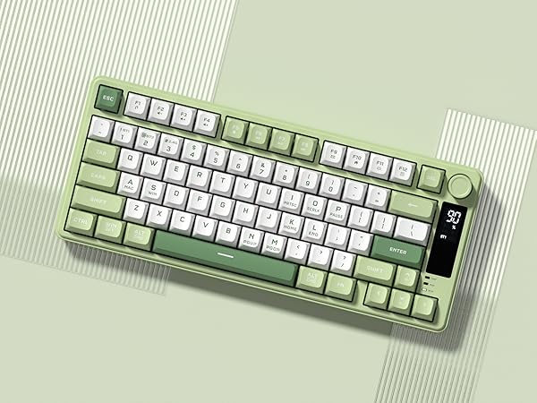 Mechanical Keyboard