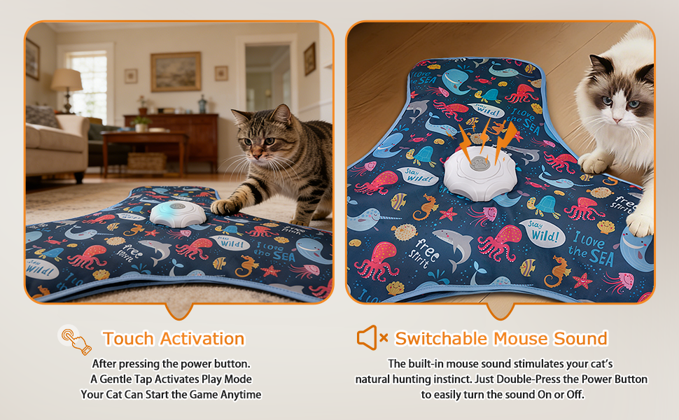 CAT TOY