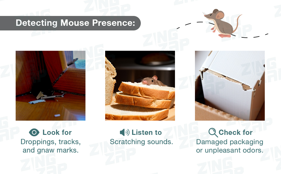 mouse