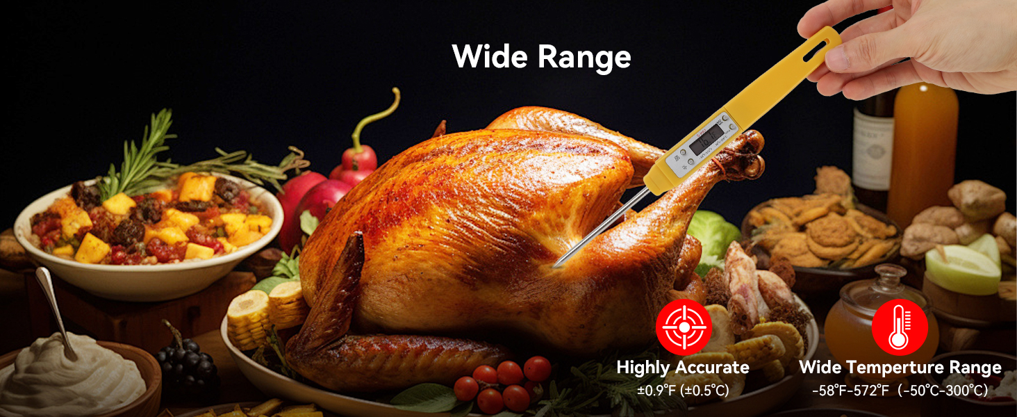 instant read thermometer