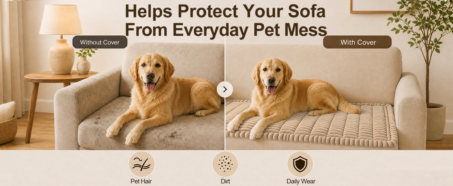 Helps Protect Your Sofa from Everyday Pet Mess