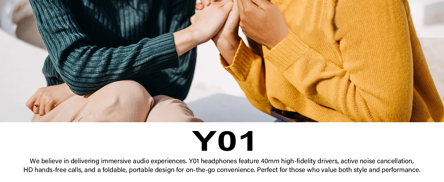 wentronic headphones