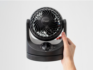lightweight, convenient, easy to carry, tiny fan, compact fan, small fan, entryway, cute