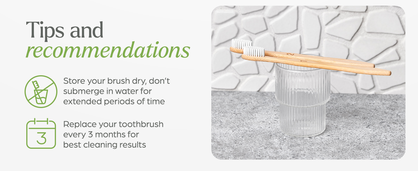 Plant based toothbrushes 