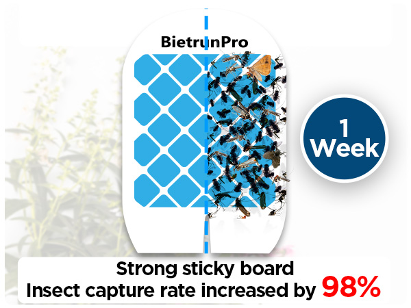 fruit fly traps for indoors gnat traps for house indoor gnat killer indoor fruit fly killer gnats