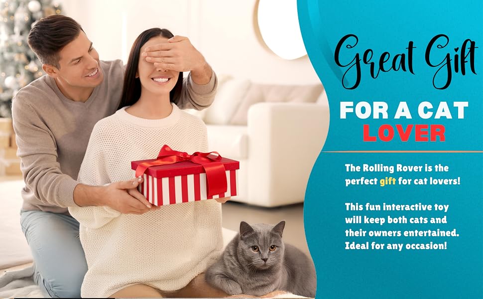 auto cat toy electronic gift must haves cool cat stuff toys boredom birthday automated