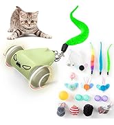 CZPET Cat Toys Kitten Jump Exercise Interactive Replaceable Elastic Automatic Toy Funny Cat Tease...