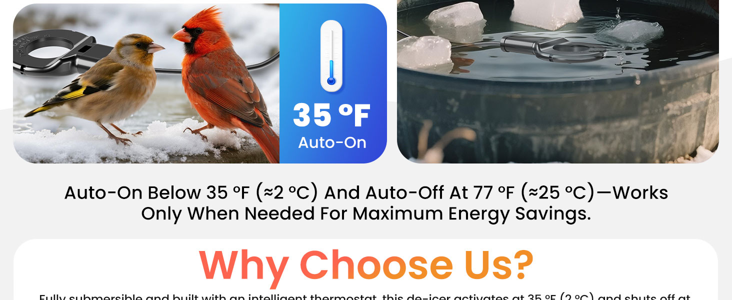 chicken water heater for winter