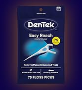 DenTek, Complete Clean Floss Picks 75 Floss Picks Pack of 3, 225 Count