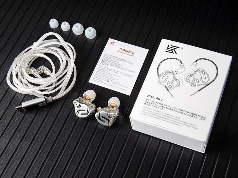 zs12 pro 2
