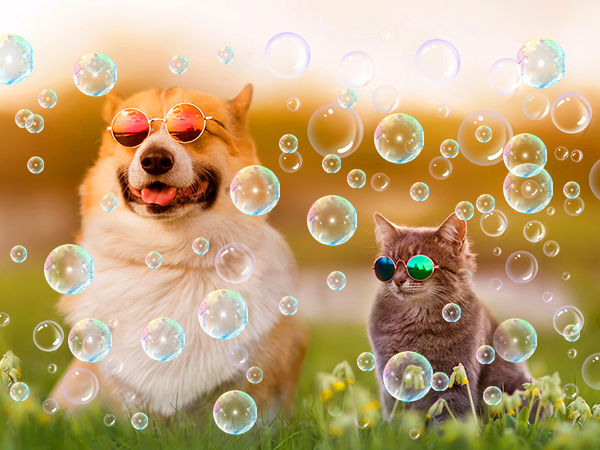 bubble machine bubble machine for toddlers 1-3 for kids for parties bubble maker bubble blower