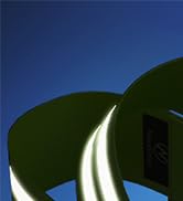 Reflective Ankle Bands (4 Bands/2 Pairs) Reflective Bands