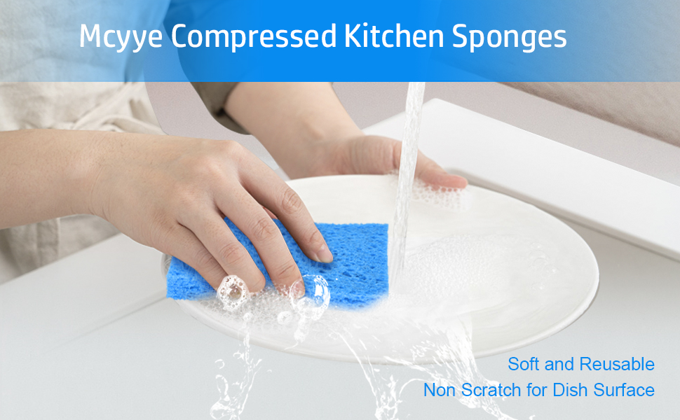 compressed kitchen sponges