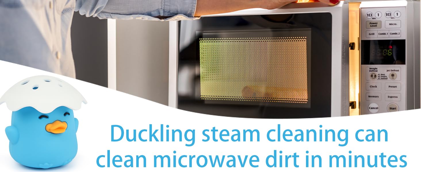 Microwave Steam Cleaner