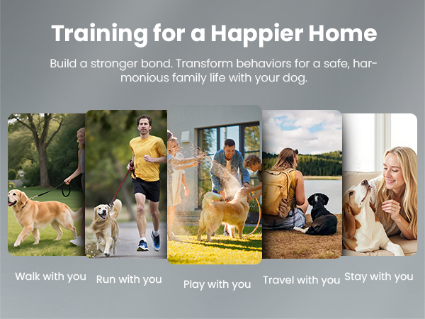 canivix dog training collar