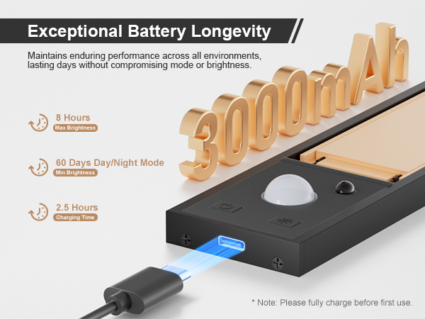 rechargeable battery
