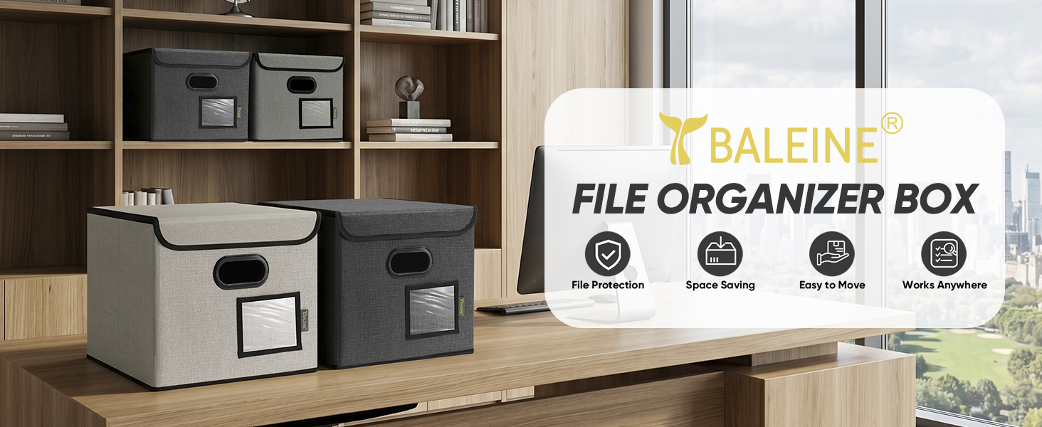 file organizer box