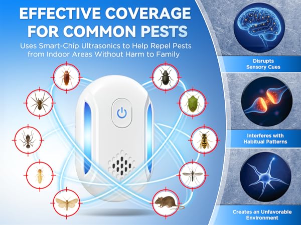 Functional upgrades in 2026