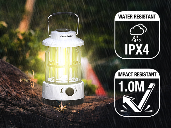 E041036