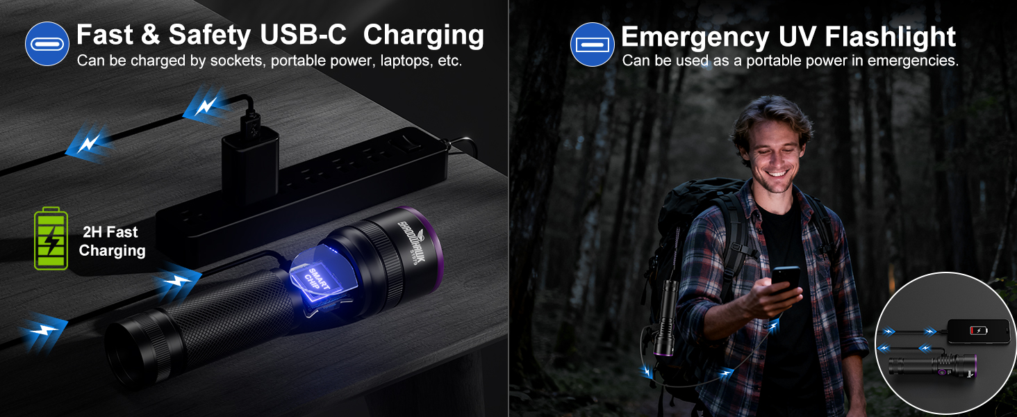 black light flashlight rechargeable