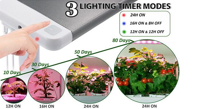 LED grow light with timer