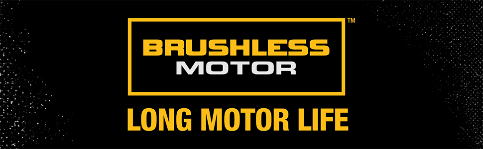 brushless motor