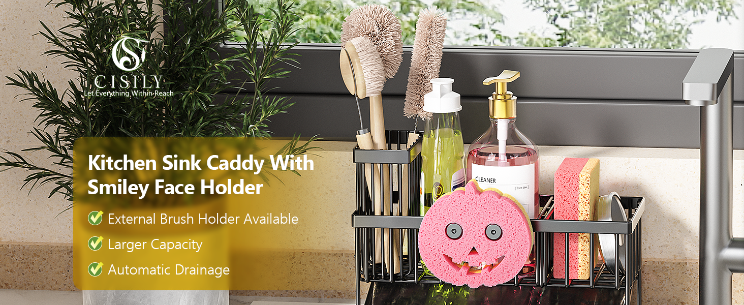 kitchen sink organizer