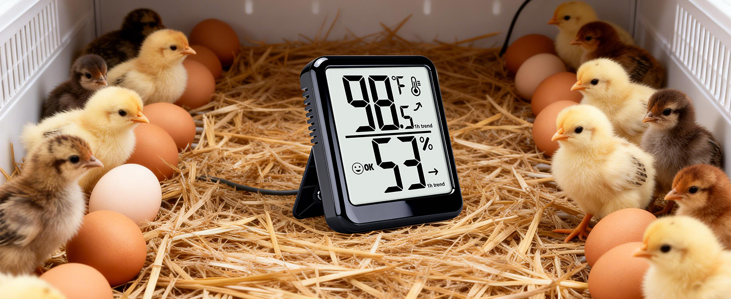 Humidity Gauge Meter