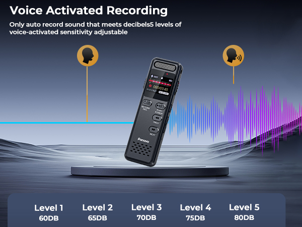 Digital Voice Recorder