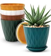YNNICO 6 inch Plant Pots, 5 Pack Flower Pots Outdoor Indoor, Planters with Drainage Holes and Tra...