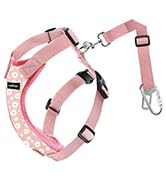 car vest harness