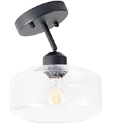 TeHenoo Sloped Ceiling Light with Clear Seeded Glass Shade, Adjustable for Kitchen,Hallway,Living...