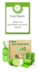 https://m.media-amazon.com/images/S/aplus-media-library-service-media/940f430c-f4ee-4a28-a8c7-8af4a8a976ed.__CR0,0,408,816_PT0_SX150_V1___.png