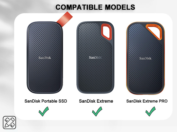 sandisk ssd carrying case