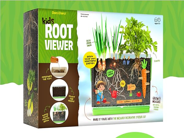 Root Viewer 