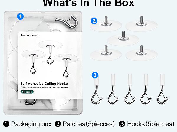 Ceiling hooks 