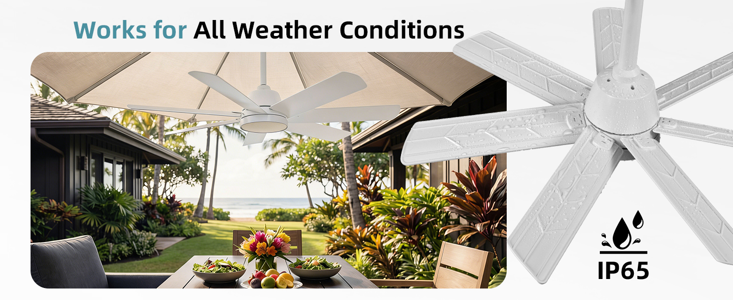 outdoor fans