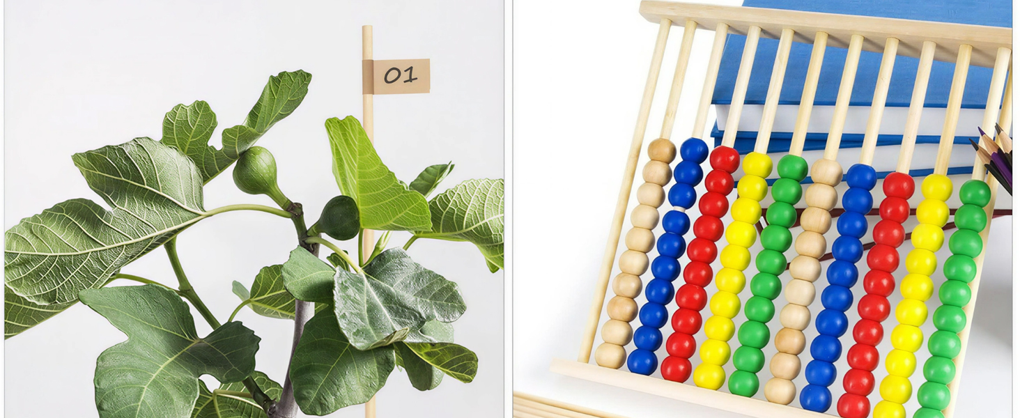 Dowel Rods