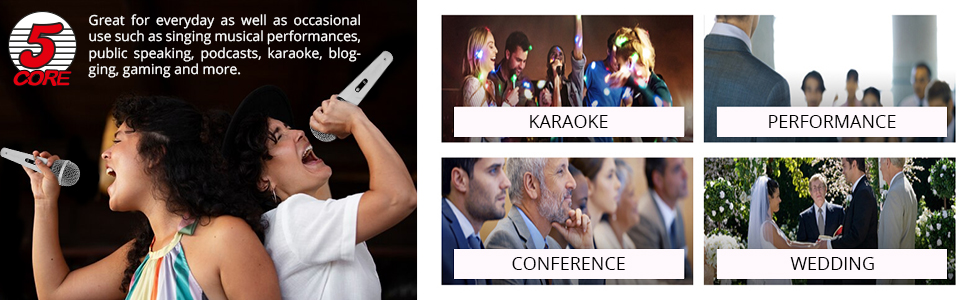 microphone for singing, wired microphone, dynamic microphone, mic, singing microphone