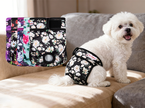 Dog Diapers Female