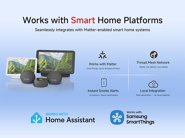 carbon monoxide detector matter thread
